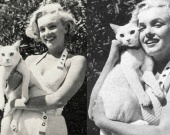 ������ ���� ������������� � ������