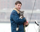 ���������� ������� � �� ������� �������