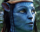 ������� ����� ���������������� � ������������ 