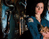 ������� ����� ��������� �� 