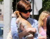 ��� ������� ���������� ����� ��������