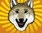 � ����� ������� �������� ������� ��������������� New Vision