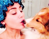 ����� ������� ����� ������