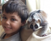 � ����� ��������� �������� ����������