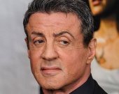 ���������� �������� ���������� ������� �������