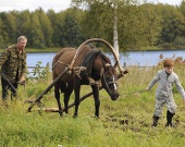 ����� ����� ������������� ������� �� ������������ ���������