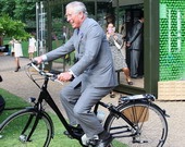 ������ ������ ������