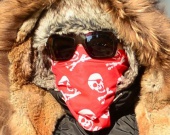 ������������, ������� �� �����, ����� �� �������� �� �����