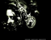 ������������ ������ 