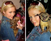 ������������, � ������� ���� ������������ �������� �������