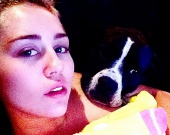 ����� �������� ������������ ������