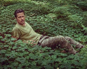 ���� ���� � ����� ����� � ����������