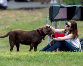 ������ � �� �������� �������