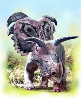 Динозавр Медузацератопс