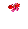 butterfly%20(254).gif