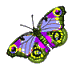 http://justclickit.ru/flash/butterfly/butterfly%20(315).gif