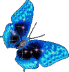 http://justclickit.ru/flash/butterfly/butterfly%20(317).gif