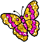 http://justclickit.ru/flash/butterfly/butterfly%20(489).gif