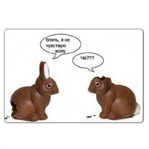 Шоколадные зайцы
