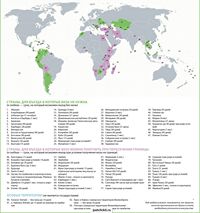 Безвизовые страны на карте мира